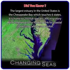 Did You Know The Largest Estuary In The United States Is The Chesapeake Bay Which Touches 6 States Themoreyouknow Chesapeake Storm Surge Chesapeake Bay