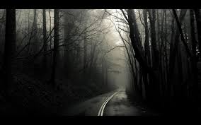 ✓ free for commercial use ✓ high quality images. Mist Wallpaper 1920x1200 53507
