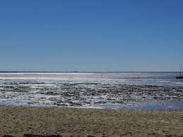 Contrejour Plage De Claouey Presqu Ile Du Cap Ferret Lege Cap Ferret Gironde Aquitaine France Beach Trip Outdoor