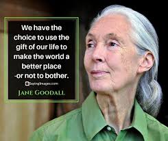 30 Jane Goodall Quotes Compassion Is Language Sayingimages Com Jane Goodall Quotes Jane Goodall Inspirational Quotes