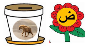 اللغة العربية صور حرف الضاد للصف الأول ملفاتي