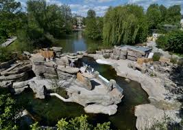 Der zoologischer garten frankfurt am main ist der tiergarten in der deutschen stadt frankfurt am main. Frankfurt Zoo Silverkris