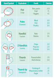 Portion Size Cheese Portion Size