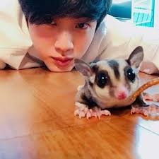 Rosinhas2.jpg 1 485×1 485 пикс | ponto cruz, bordado ponto cruz, artesanato e faça você mesmo. 15 Ideias De Jin And Sugar Glider Em 2021 Seokjin Jin Kim Seokjin
