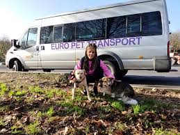 Pet transport specialist will keep your furry family member safe and secure during the move. Euro Pet Transport In Algarve My Guide Algarve