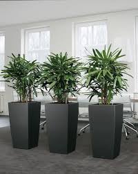 Intira Design Using Indoor Plants Tastefully Large Garden Pots Artificial Plants Flower Pots
