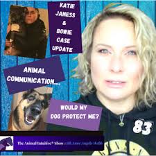 Animal Communication Asking My Dog If He'd Defend Me?🐾Katie Janness Case  Update💙| Ep 83