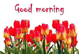 Here is all type flower good morning picture photo download for best friends , flower morning pics, best flower goodmorningpics , download top latest pics. 38 Good Morning Hd Flower Images For Free Photo Download For Whatsapp Pics Pagal Ladka Com