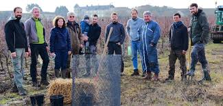 Afin d'élargir votre recherche : Les Loyers Des Viticulteurs Etaient Trop Bas