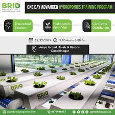 Hydroponics Training Hydroponics Train Vertical Hydroponics