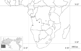 Image result for Strychnos gossweileri