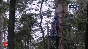 Desa di hutan, desa di hutan sulawesi tengah, desa masewo sigi sulawesi tengah, hutan dibabat untuk perkebunan, karsa institute, masyarakat adat, masyarakat adat topo una, nasib desa yang wilayahnya dirampas perusahaan, negara kurang perhatian pada. Woodland Kuningan Home Facebook