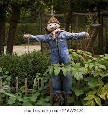 Maybe you would like to learn more about one of these? Scarecrow Garden Stock Photo Edit Now 216772474
