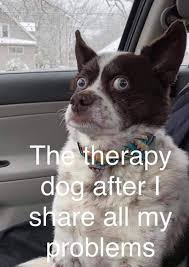 Now My Therapy Dog Needs A Therapy Dog Therapy Dogs Therapy Animals Funny Dogs
