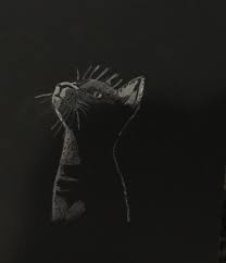 Tayfun Balikci Adli Kullanicinin Artwork Panosundaki Pin 3d Cizimler Kedi Cizim