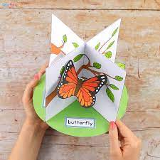 Download 3d Butterfly Life Cycle Craft Easy Peasy And Fun