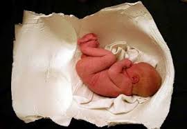 Maybe you would like to learn more about one of these? Entergently Make Your Own Pregnant Belly Cast Pregnant Belly Cast Pregnant Belly Belly Casting