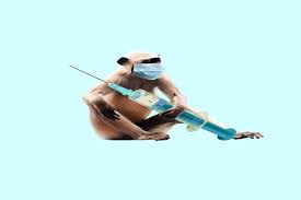 Monkey b virüsü sebebiyle çin'de ilk ölüm gerçekleşti. 40qg Anx8hc3mm