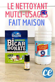 Bicarbonate Vinaigre Blanc Le Nettoyant Multi Usages Pour Une Maison Nickel Chrome Nettoyant Multi Usage Produit De Nettoyage Faits Maison Nettoyant