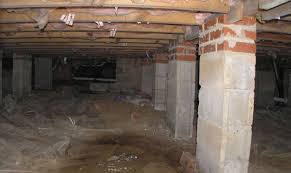 Discovering unwanted pests in your home is the last thing any homeowner wants to experience. 5 Things You May Not Know Are Hiding In Your Crawlspace