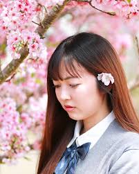 布達拉宮雄偉的建築及歷史#寺#廟#布達拉宮#秋#旅#空#temple#autumn#travel#travelphoto