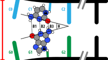 An open quantum systems approach to proton tunnelling in DNA | Communications Physics