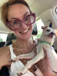 Low profile harness for small dog