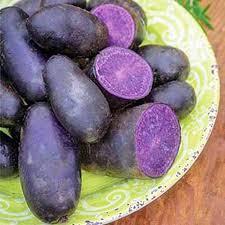 It was brought out by native breeders. The Best 11 Potato Varieties To Grow At Home Gardener S Path