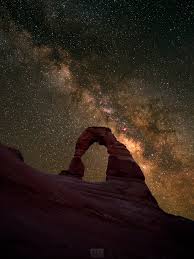 Image result for Stipagrostis uniplumis