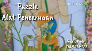 Jen is penelitian yang digunakan adalah observa si. Media Pembelajaran Biologi Puzzle Alat Pencernaan Youtube