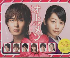 Okada Masaki 岡田将生 "Otomen オトメン(乙男)" TV Photo Book RARE!!