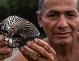 Annual Report 2018–2019