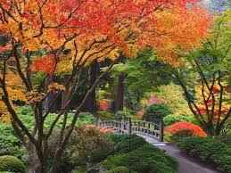 Portland japanese garden on instagram. Fall Colors At Portland Japanese Gardens Portland Oregon Photographic Print Craig Tuttle Art Com