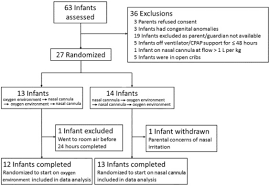 Nasal cannulas consist of two hollow prongs projecting from a hollow face piece. Environmental Or Nasal Cannula Supplemental Oxygen For Preterm Infants A Randomized Cross Over Trial The Journal Of Pediatrics