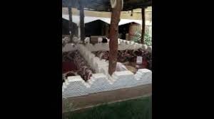 مطعم التنهات Youtube