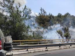 Ειδικότερα, η φωτιά έχει ξεσπάσει προς τις λίμνες και καίει σιτοκαλαμιές και χαμηλή βλάστηση. Twra Sth 8essalonikh Fwtia Sto Seix Soy Fwto Video