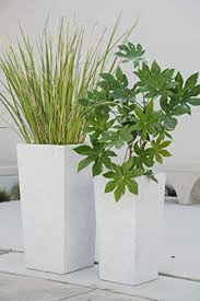 Check spelling or type a new query. Xbrand Set Of 2 Different Sizes Modern Nested Tall Square Concrete Planter 29 Inch 24 Inch Grey Buy Online In Dominica At Dominica Desertcart Com Productid 155290297