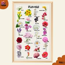 Check spelling or type a new query. Poster Mainan Anak Edukasi Mengenal Nama Nama Bunga Shopee Indonesia