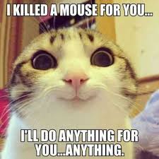 Then sample this selection of funny animal memes, featuring bears, spiders, armadillos, and plenty of other, less photogenic creatures. Memes Corner On Twitter For More Funny Memes Check Here Https T Co J68gqphs1f Funny Memes Meme Funnymemes Memesfunny Funnycatmemes Funnyanimalmemes Funnybirthdaymemes Funnydogmemes Funnychristmasmemes Funnyanimememes Funnyworkmemes