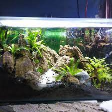 Beginner use 2.5ml (half a cap) for each 160l (40 us gallons) twice a week or as needed in response to signs of nitrogen deficiency (e.g. Jual Aquascape Full Set Uk 40cm X 20cm X 25 Cm Jakarta Selatan Alfscape Tokopedia