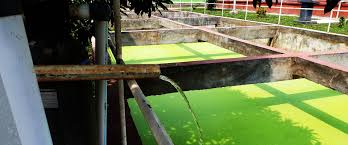 Berikut info lowongan kerja (loker) terbaru desember 2021 di pjlp dinas pertamanan dan hutan kota tahun anggaran 2022. Bekasi Tingkatkan Pengelolaan Lumpur Tinja Melalui Iplt Yang Ramah Lingkungan Usaid Iuwash Plus Usaid Iuwash Plus