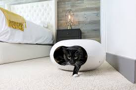 However, i already decided what noise i prefer. Modern Furniture For Cats And Dogs With Style And Panache