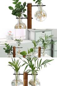 Terrarium Hydroponic Plant Vases Plant Vase Hydroponic Plants Plants
