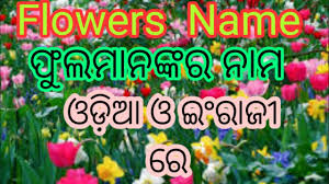 If you are playing as a girl. Flowers Name Video In English And Odia With Picture For Children Lll à¬« à¬² à¬® à¬¨à¬™ à¬•à¬° à¬¨ à¬® Iiiiiiii Youtube
