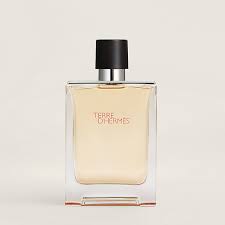 Terre d'Hermès Eau de toilette 100ml