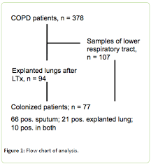 Colonization And Bronchiectasis In Patients With Advanced