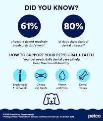 The wipes also use lavender, grape seed extract and rosemary to improve the dog's oral hygiene. How And How Often To Brush A Dogs Teeth Petco