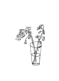 This open access digital library focuses on bringing the natural world closer to people through access to writings and illustration. Flower Line Drawing Pdf Novocom Top