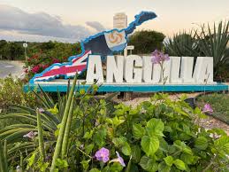 Image result for Avenella