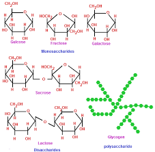 Biological Molecules Chemistry Tutorvista Com Teaching Chemistry Biochemistry Teaching Biology